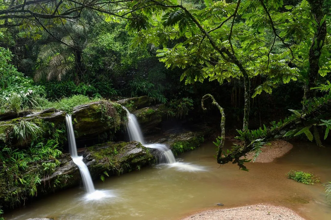 Queda d'água caindo sobre lajes de pedra cobertas de musgo na Reserva Natural Cachoeira Calaboca